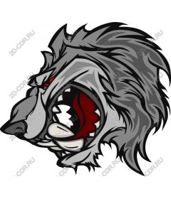 Head ferocious wolf