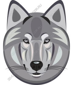  The majestic snout of the wolf