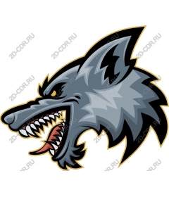 Head ferocious wolf