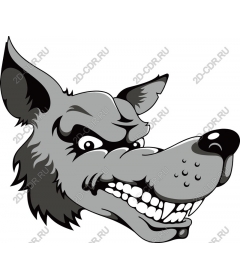 Head ferocious wolf