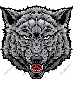 Wolf head - ferocious wild nature