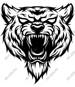 Head of a ferocious bear