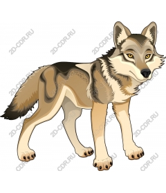Majestic Wolf