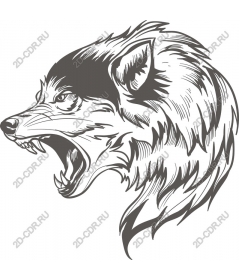  Roaring wolf head