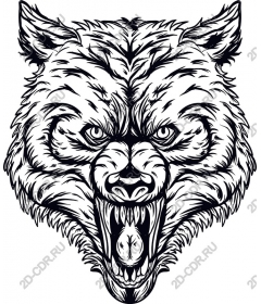 Head ferocious wolf
