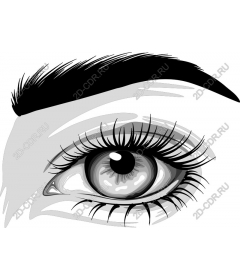  Elegant black and white eyes