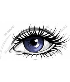  Elegant Blue Eyes