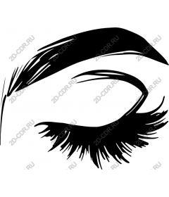 An elegant eye