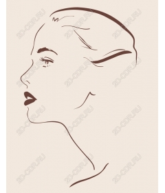  Elegant minimalist profile