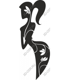  Elegant floral