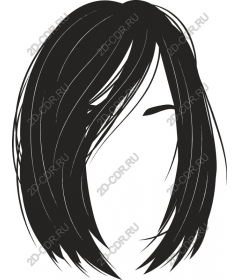  Elegant women's hairstyle