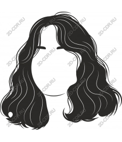  Elegant hair