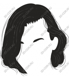  A stylish hairstyles