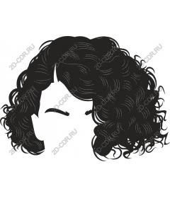  Curly hair