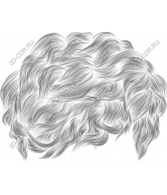 Elegant hair