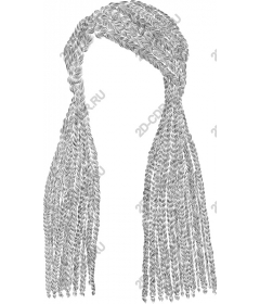  Elegant braided hair