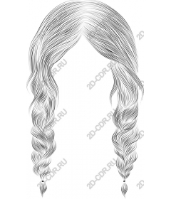  Elegant braided hair