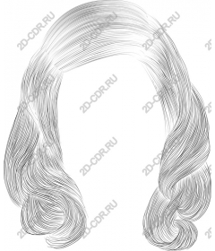  Elegant hair and