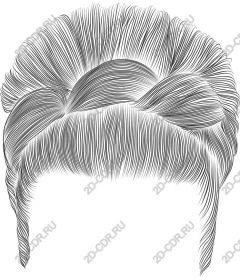  Elegant hairstyle