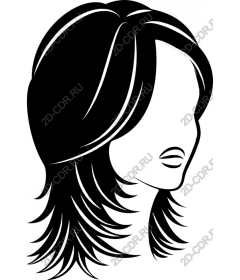  Elegant women's hairstyle