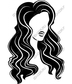  Elegant hair