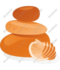 Serene folded rocks and shells