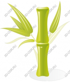  Bright bamboo