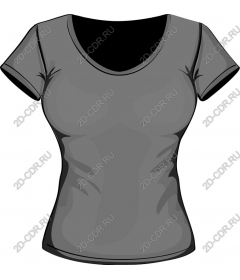  Gray t-shirt with V-neck