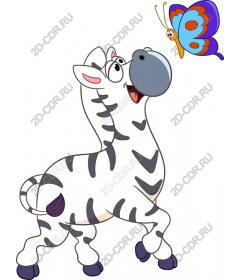  Adorable Zebra and butterfly