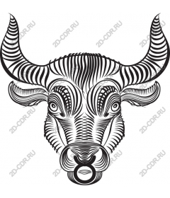 Intricate head of a bull