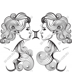 Gemini Elegance: Double profiles