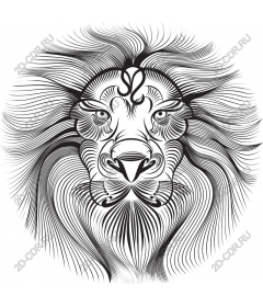 Majestic lion