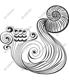 Ocean whirlpool shell