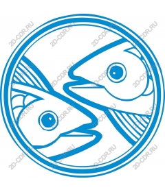 Meeting with fish