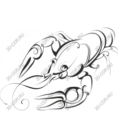  Elegant crab