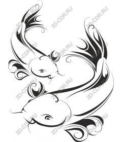  Elegant koi fish