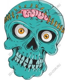  Zombie Skull with brain