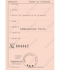 Vintage Danish driver's License