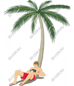 Relaxation under tropical palm trees