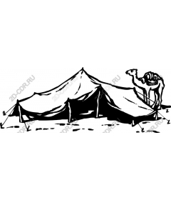  Desert tent and camel