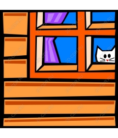 Charming cat in the window