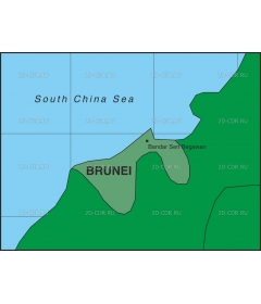 BRUNEI3