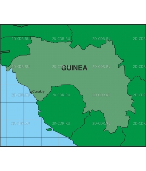 GUINEA3