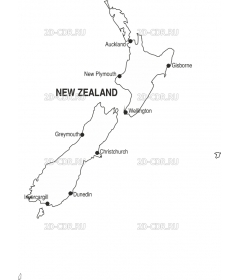 NZ_T