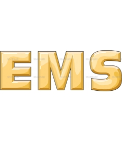 EMS2