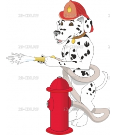 DALMATIO