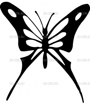 butterfly (414)