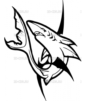 shark (203)
