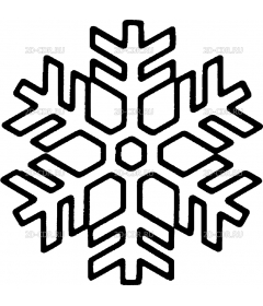 snowflake (1)