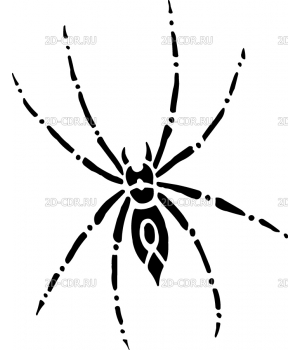 spider (1)